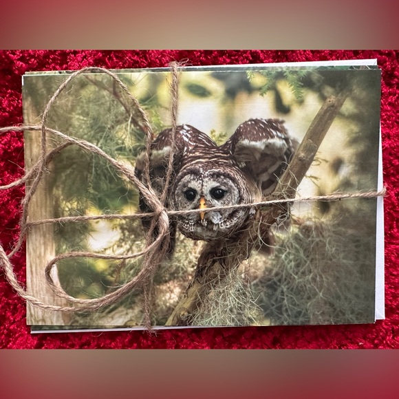 Set of 3 - Handcrafted Photo Greeting Cards - Barred Owl - Set of 3 - Picture 1 of 2